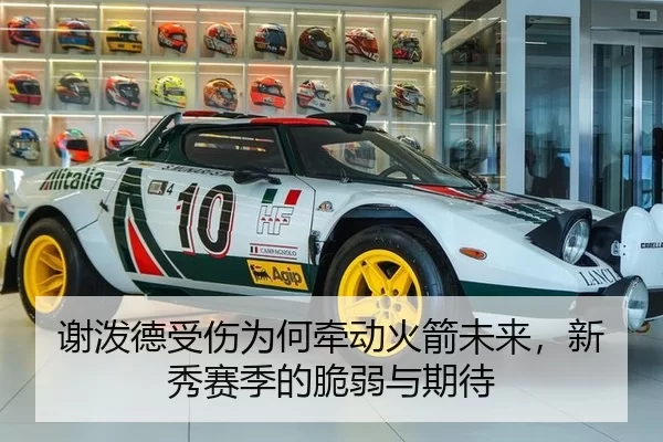 谢泼德受伤为何牵动火箭未来，新秀赛季的脆弱与期待 | xingkong